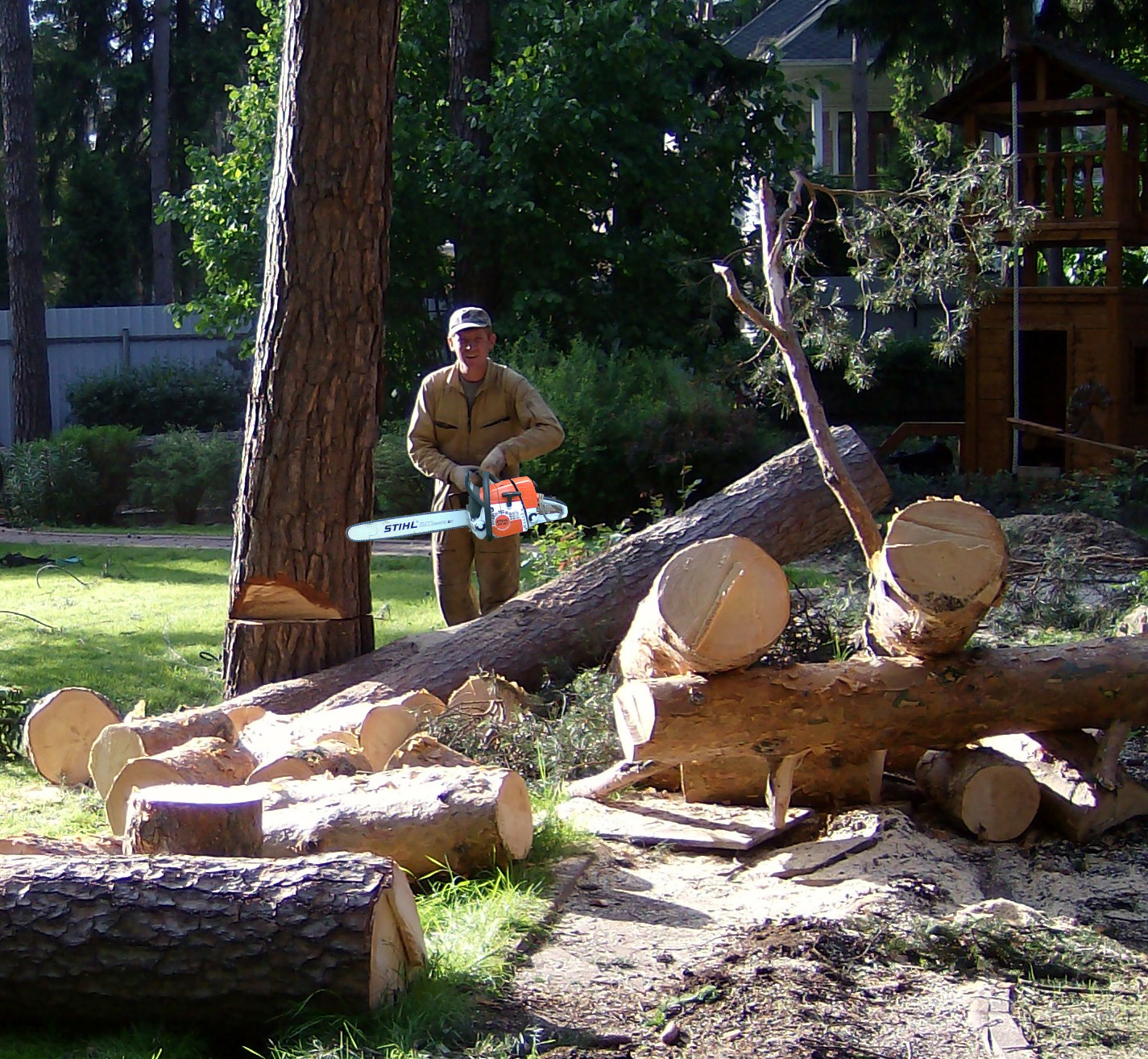 Вырубка деревьев возле частного дома